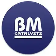 BM CATALYSTS