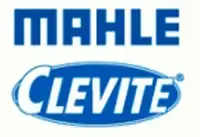 CLEVITE