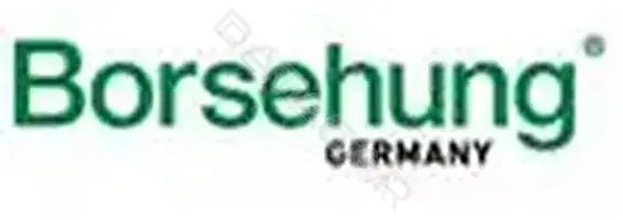 Borsehung