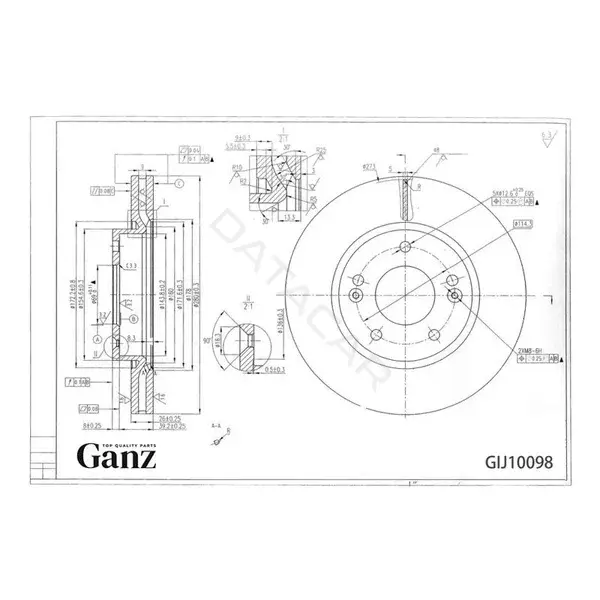 Тормозные диски GANZ GIJ10098