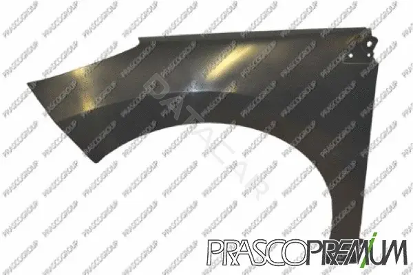 Крыло переднее PRASCO PG4243014