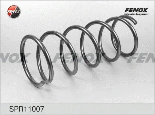 Пружины FENOX SPR11007