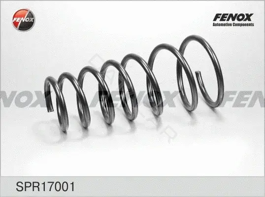 Пружины FENOX SPR17001