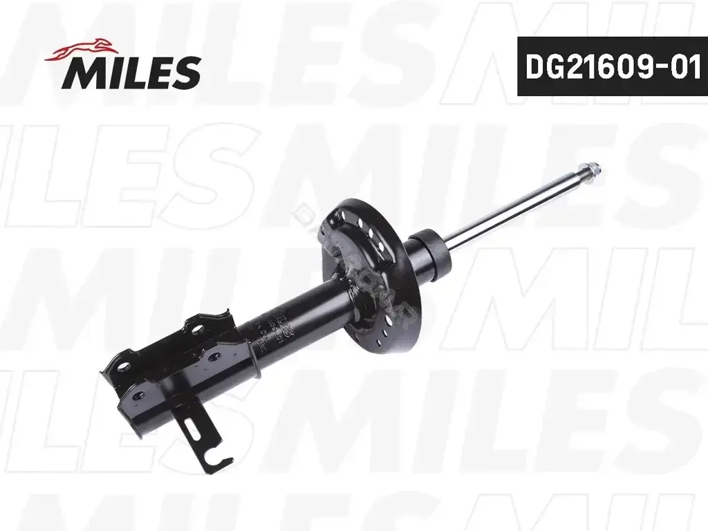 Амортизаторы MILES DG21609-01