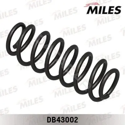 Пружины MILES DB43002