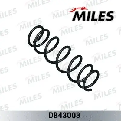 Пружины MILES DB43003
