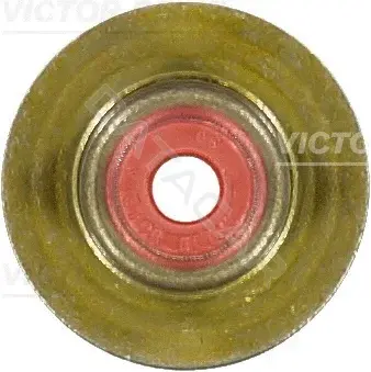 Маслосъемные колпачки VICTOR REINZ 70-42873-00