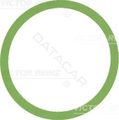 Прокладкa впускного коллектора VICTOR REINZ 41-77647-00