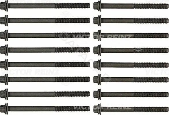 Болты ГБЦ VICTOR REINZ 14-32288-01