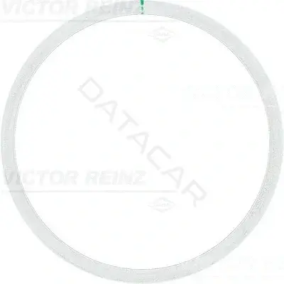 Прокладка ГБЦ VICTOR REINZ 61-25315-10