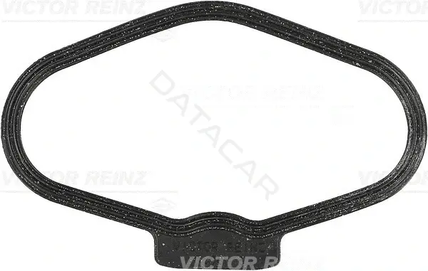 Прокладка клапанной крышки VICTOR REINZ 71-10170-00