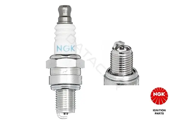 Свечи зажигания NGK 3066