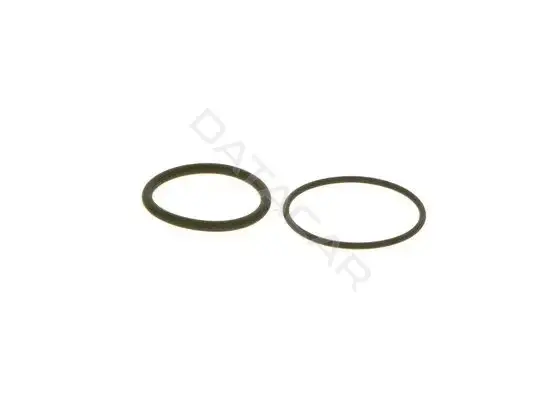 Ремкомплект форсунок BOSCH F00041P049