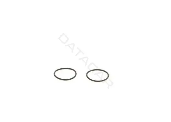 Ремкомплект форсунок BOSCH F00041P053