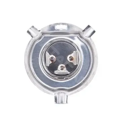 Лампочки BOSCH 1987301010