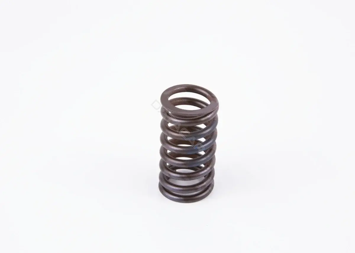 Рессора BOSCH 2434619017