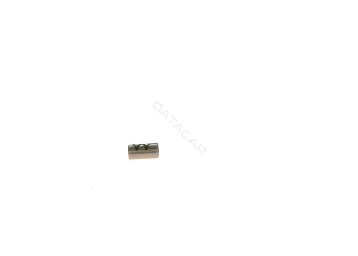 Форсунки BOSCH 2423202001