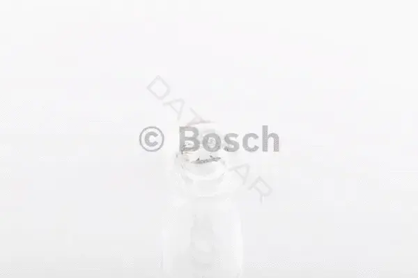 Лампочки BOSCH 1987301049