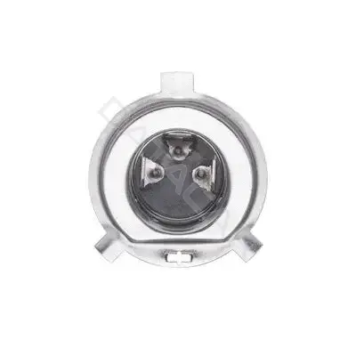 Лампочки BOSCH 1987301077