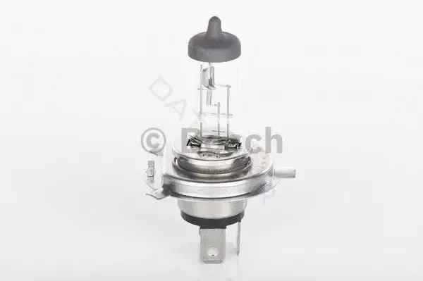 Лампочки BOSCH 1987302048