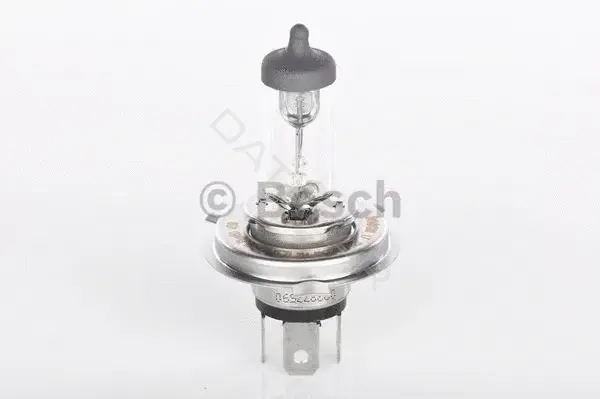 Лампочки BOSCH 1987302049