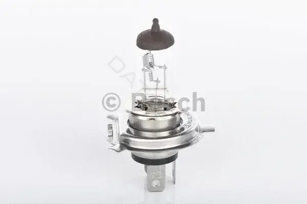 Лампочки BOSCH 1987302441