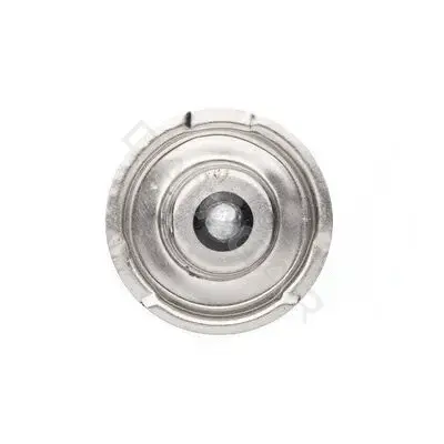 Лампочки BOSCH 1987302606
