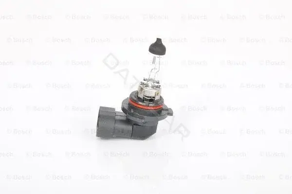 Лампочки BOSCH 1987302808