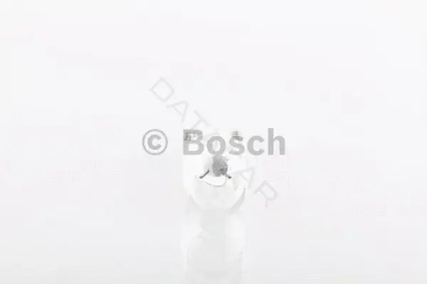 Лампочки BOSCH 1987302819