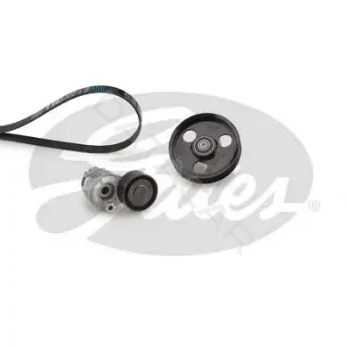 Ремень ручейковый GATES K036PK1203