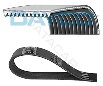 Ремень ручейковый DAYCO 11PK2055HD