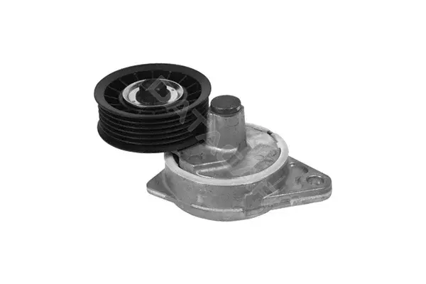 Натяжитель ремня генератора SKF VKM34010