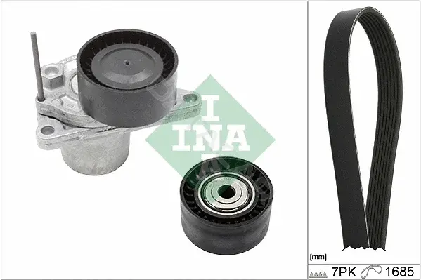 Ремень ручейковый INA 529024610