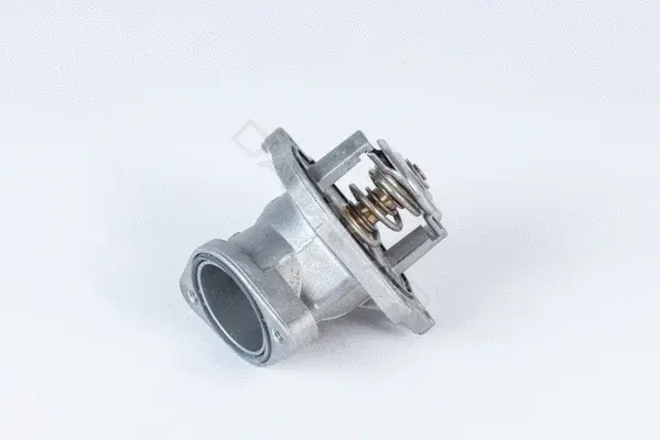 Термостат WAHLER 4832.87D