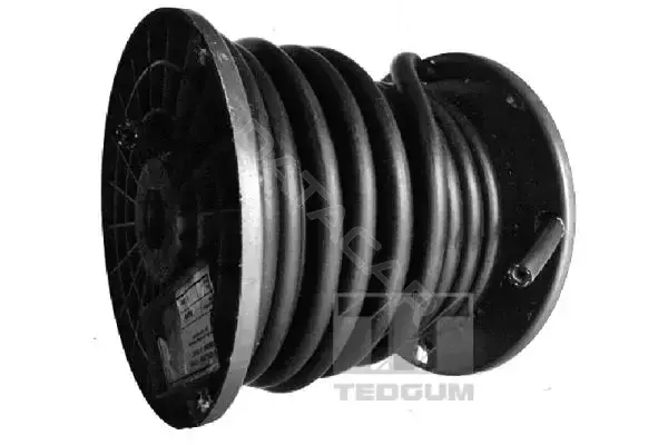 Топливный шланг TEDGUM 00817254