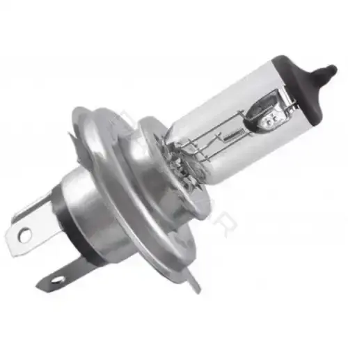 Лампочки MAGNETI MARELLI 002535100000