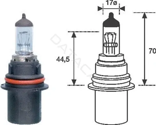 Лампочки MAGNETI MARELLI 002555200000