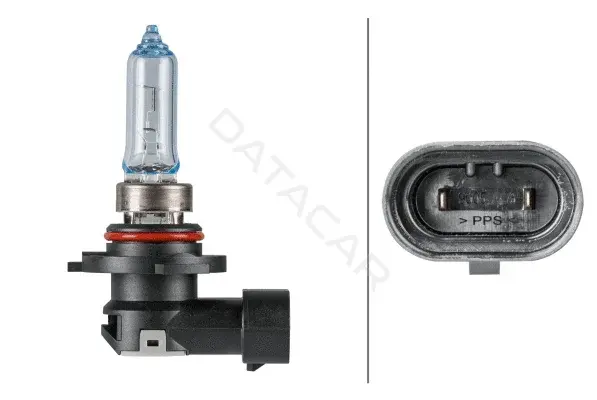 Лампочки BEHR/HELLA/PAGID 8GH223498-161