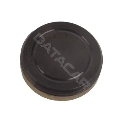 Заглушка распредвала AUTOPA-BAPMIC BF0425460003