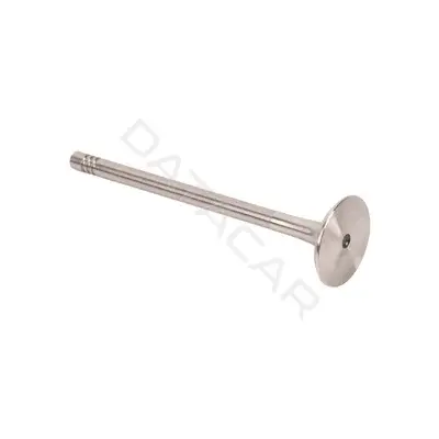 Выпускной клапан AUTOPA-BAPMIC BF0425680001