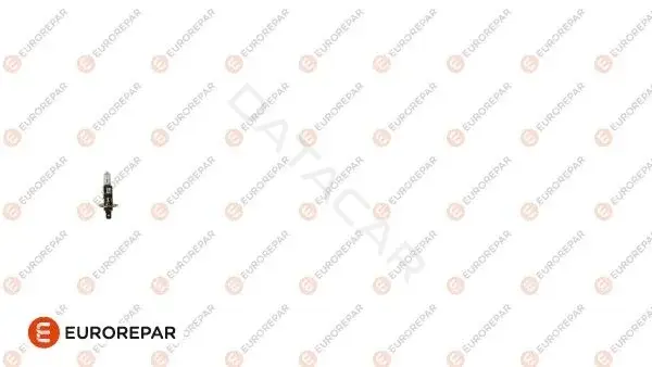 Лампочки EUROREPAR 1616430880