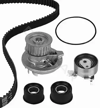 Комплект ГРМ с помпой METELLI 30-0572-1