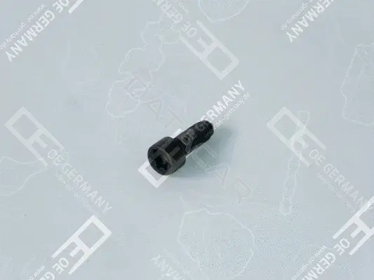 Болт крепления тормозного диска OE Germany 010335611000