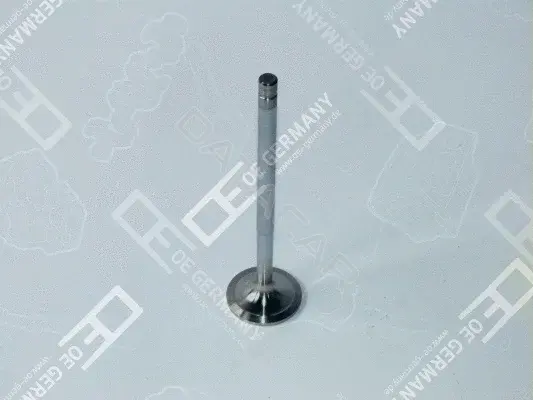Впускной клапан OE Germany 050520120000