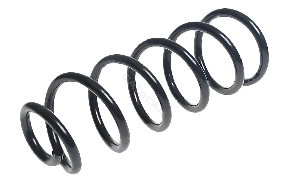 Пружины STANDARD SPRINGS ST119002R