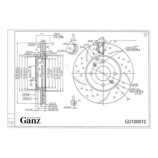 Тормозные диски GANZ GIJ10001S