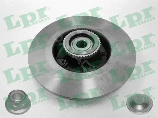 Тормозные диски LPR/AP/RAL R1009PCA