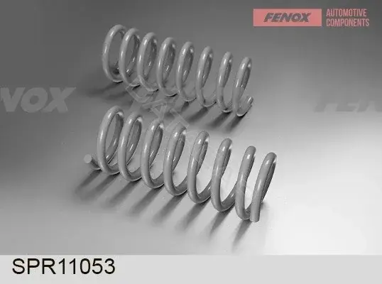 Пружины FENOX SPR11053