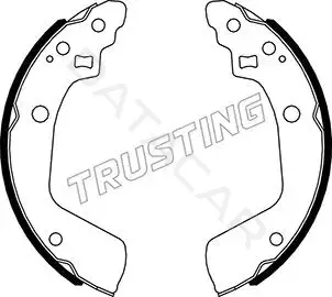 Барабанные колодки TRUSTING 111.254