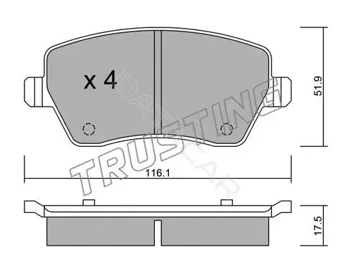 Тормозные колодки TRUSTING 501.0